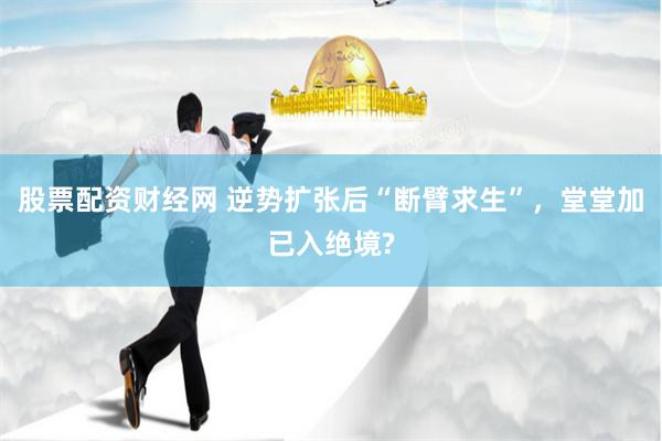 股票配资财经网 逆势扩张后“断臂求生”，堂堂加已入绝境?